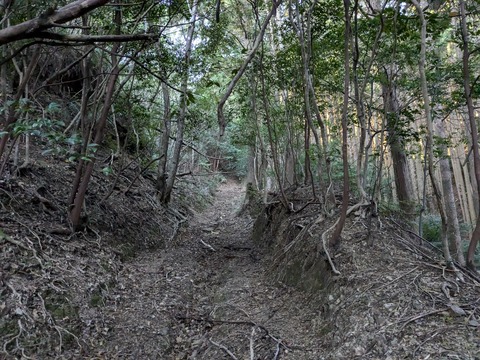 PXL_20241119_223116707