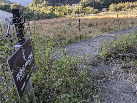 PXL_20241120_000320661