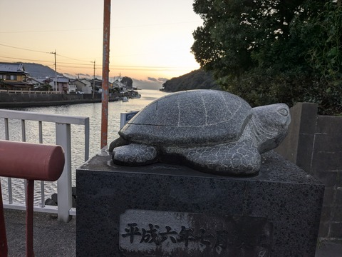 PXL_20241119_213845104