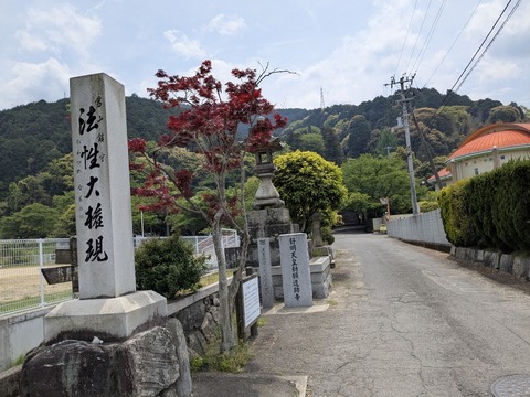 PXL_20250501_025908676