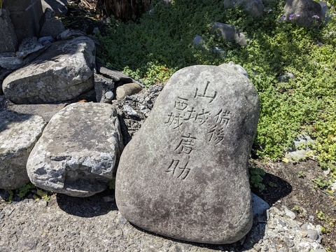 PXL_20240329_031157836