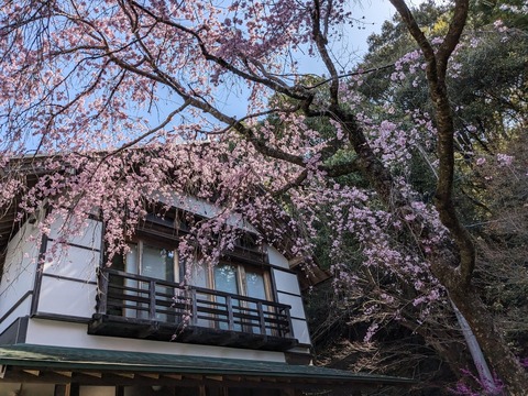 PXL_20240331_010523647