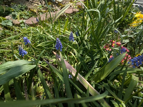 PXL_20250326_030647172