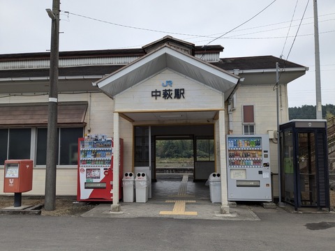 PXL_20241027_032201505