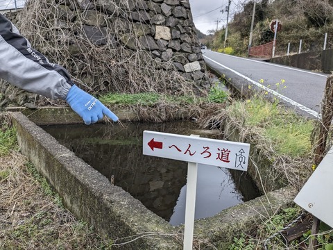 PXL_20240223_021601409