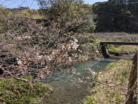 PXL_20240330_020339361