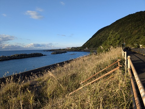 PXL_20241122_223950704