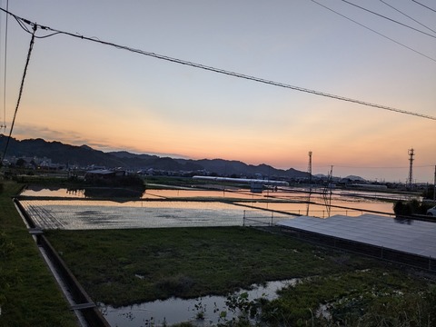 PXL_20250619_103754967