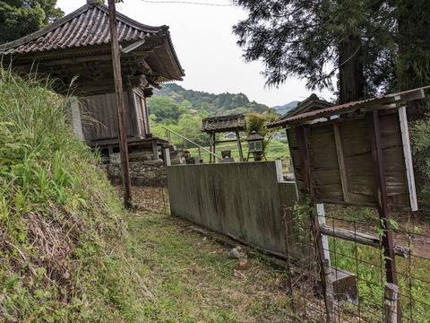 PXL_20240425_220042139