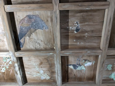 PXL_20240925_021205851