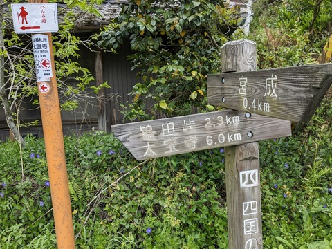 PXL_20240426_044034722