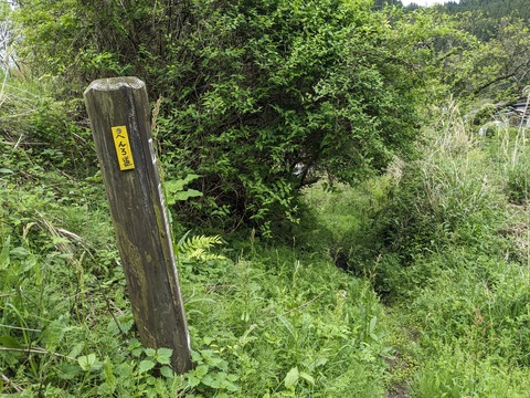 PXL_20240427_045312019