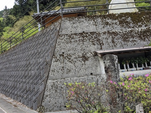 PXL_20240426_021429007