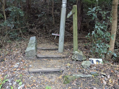 PXL_20251113_051103669