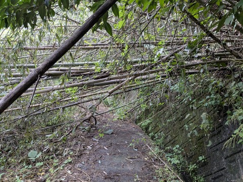 PXL_20251101_230009098