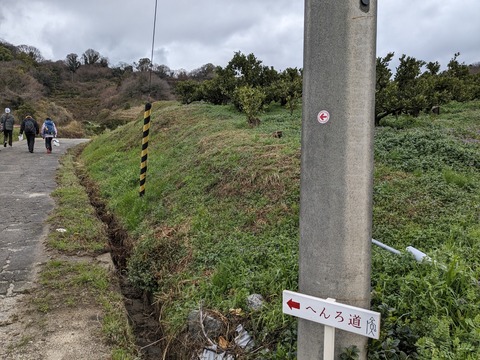 PXL_20240223_021926901