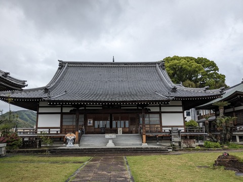 PXL_20240423_053624010