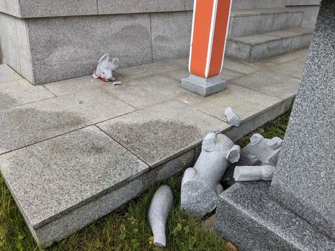 PXL_20240423_054107586