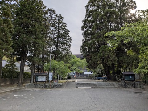 PXL_20250430_072933384