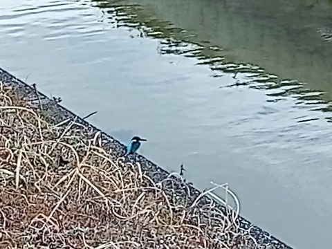 IMG_20220221_152118_341