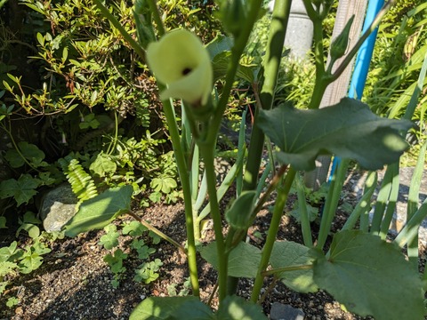 PXL_20240613_224835201