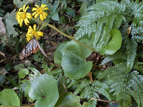 PXL_20251124_022024429