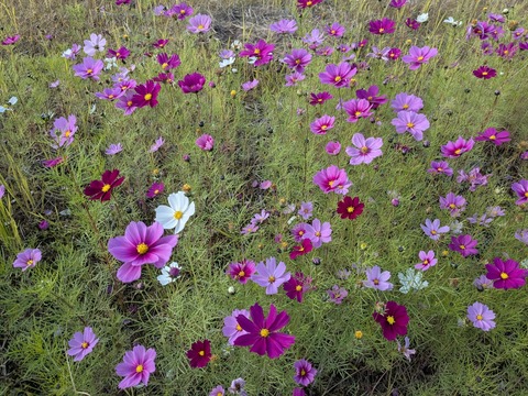 PXL_20251114_051151870