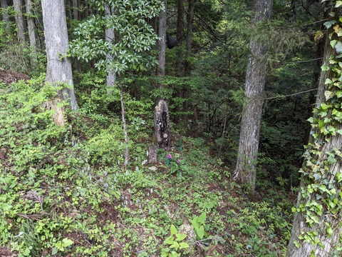 PXL_20240426_044943853