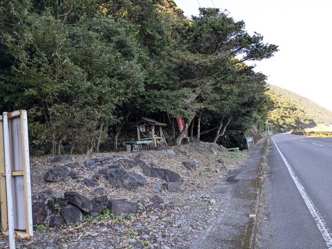 PXL_20241121_053539814