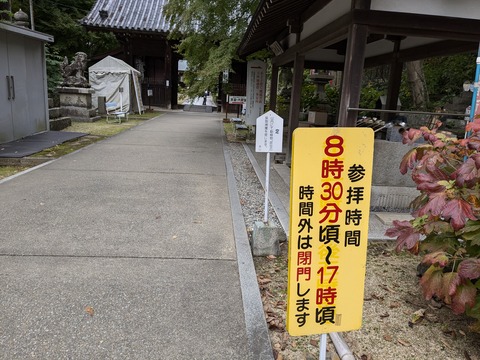 PXL_20241106_042503700