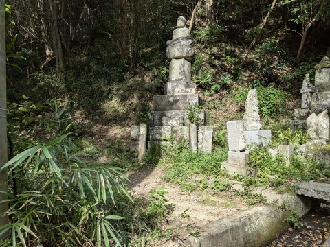 PXL_20241108_042012129