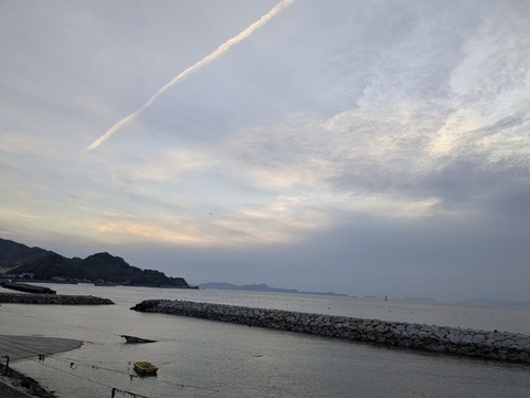 PXL_20250427_094418283