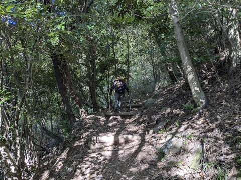 PXL_20241107_001214398