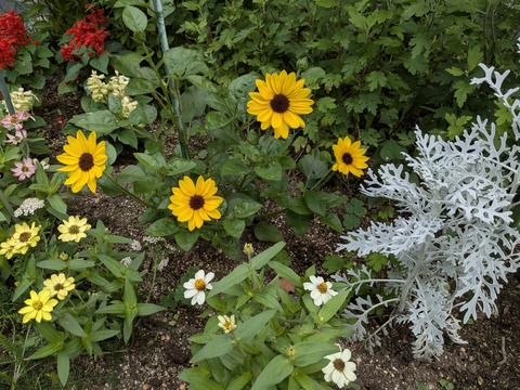 PXL_20250620_234659505