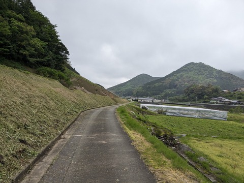 PXL_20240424_033933773