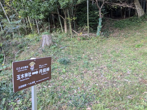 PXL_20241119_222510076