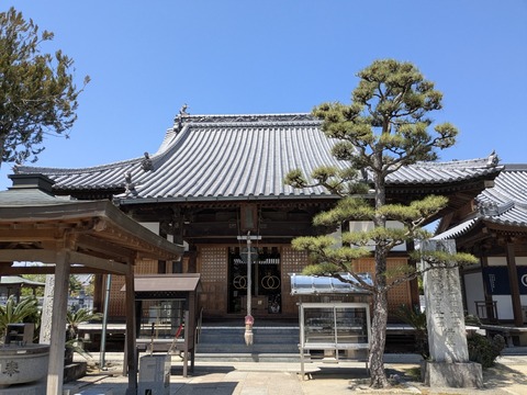 PXL_20250426_043101157