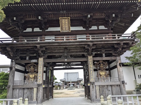 PXL_20241024_070955764