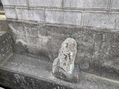 PXL_20251111_040621287