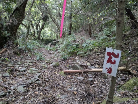 PXL_20241121_005823424