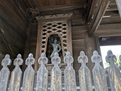 PXL_20241108_000807572