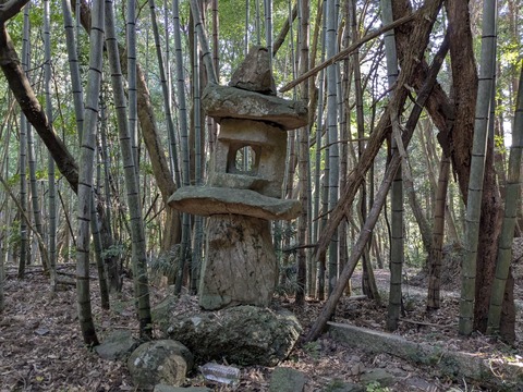 PXL_20251115_003340093