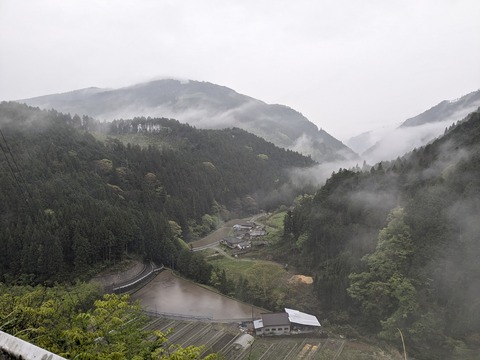 PXL_20240426_220934967