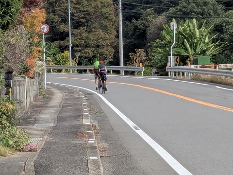 PXL_20251102_035543871