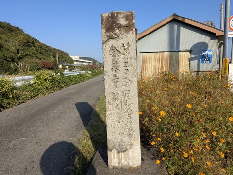 PXL_20251114_054617574