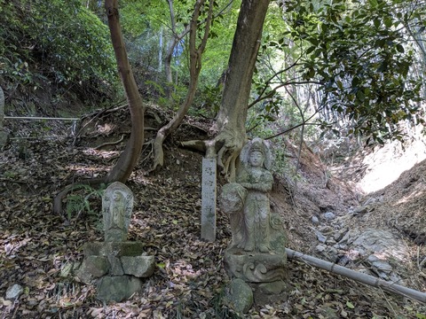 PXL_20250428_235547201