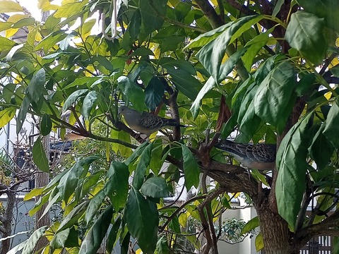 IMG_20220221_092830_629