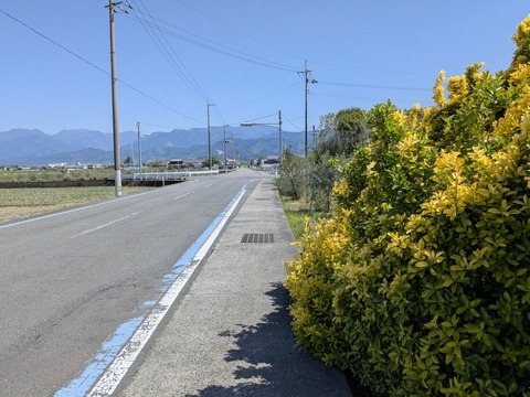 PXL_20250429_050322216