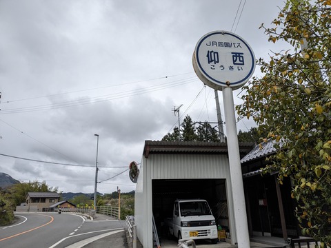 PXL_20240427_052116447