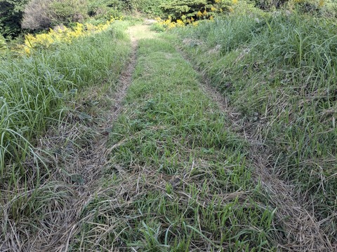 PXL_20241024_000331165